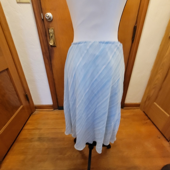 Blue skirt - Picture 3 of 3